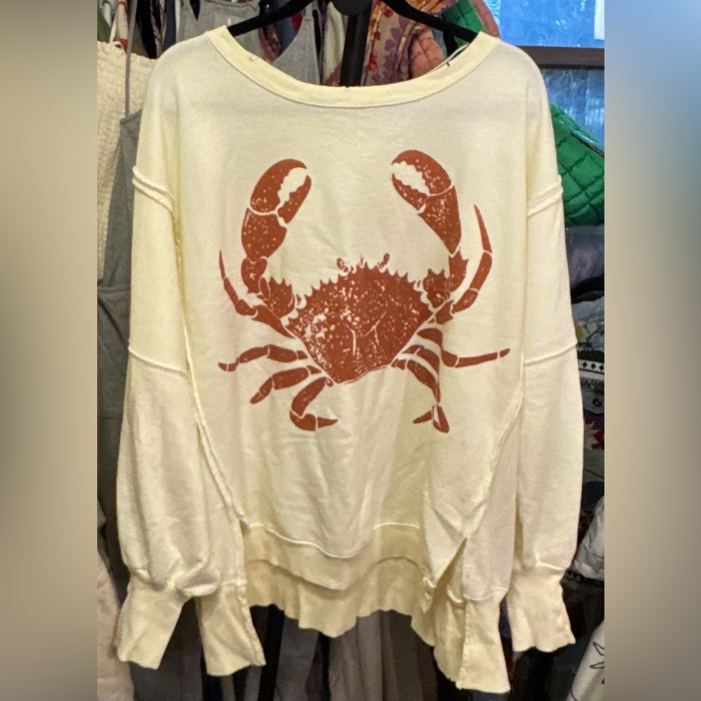 NWT Free People We The Free Graphic Camden Pullover - crab combo - Large - Picture 7 of 10